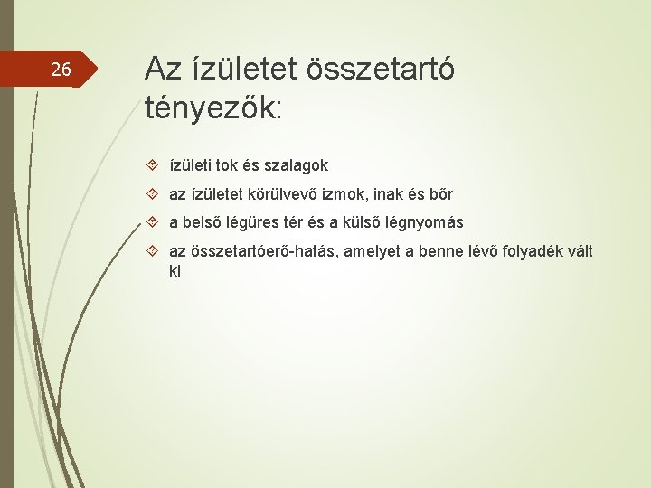 26 Az ízületet összetartó tényezők: ízületi tok és szalagok az ízületet körülvevő izmok, inak