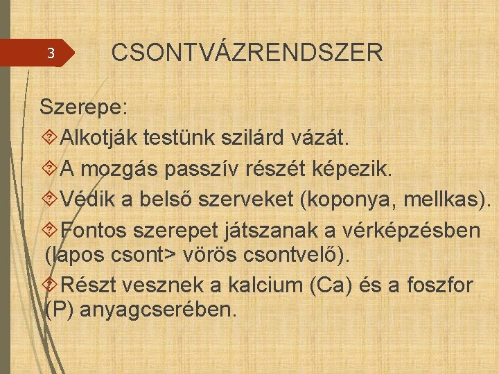 3 CSONTVÁZRENDSZER Szerepe: Alkotják testünk szilárd vázát. A mozgás passzív részét képezik. Védik a