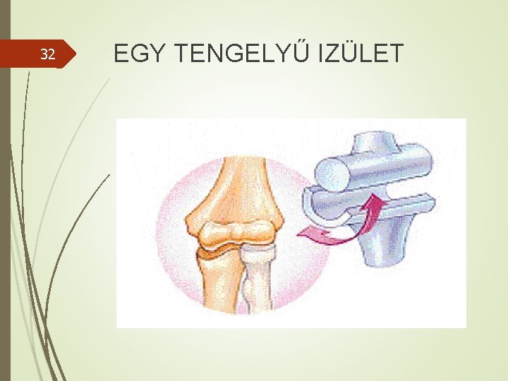 32 EGY TENGELYŰ IZÜLET 