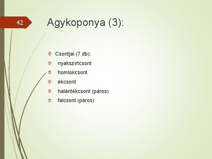 42 Agykoponya (3): Csontjai (7 db): nyakszírtcsont homlokcsont ékcsont halántékcsont (páros) falcsont (páros) 