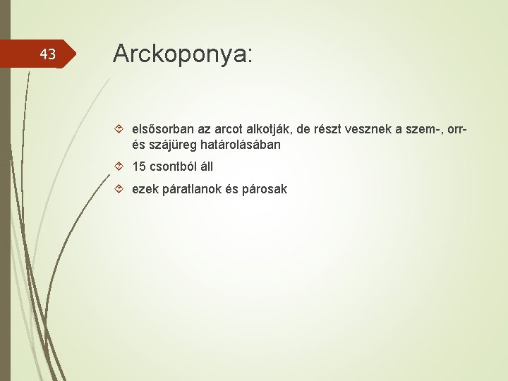 43 Arckoponya: elsősorban az arcot alkotják, de részt vesznek a szem-, orrés szájüreg határolásában