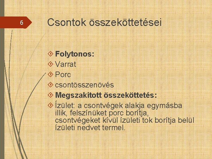 6 Csontok összeköttetései Folytonos: Varrat Porc csontösszenövés Megszakított összeköttetés: Ízület: a csontvégek alakja egymásba