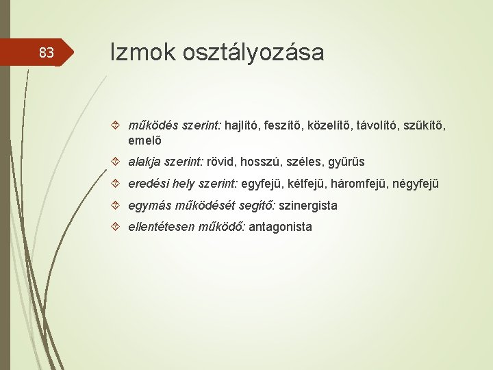 83 Izmok osztályozása működés szerint: hajlító, feszítő, közelítő, távolító, szűkítő, emelő alakja szerint: rövid,