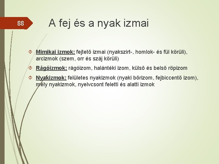 88 A fej és a nyak izmai Mimikai izmok: fejtető izmai (nyakszirt-, homlok- és