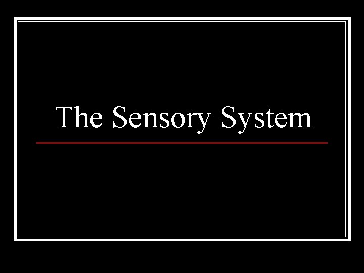 The Sensory System 