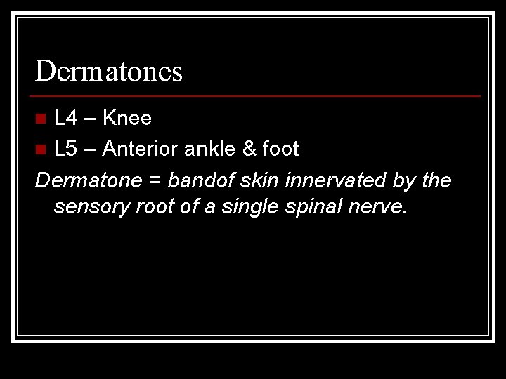 Dermatones L 4 – Knee n L 5 – Anterior ankle & foot Dermatone