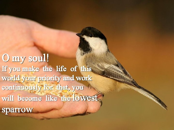 O my soul! If you make the life of this world your priority and