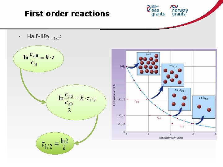 First order reactions • Half-life 1/2: 