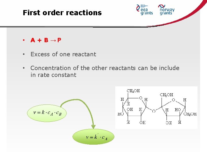 First order reactions • A+B→P • Excess of one reactant • Concentration of the