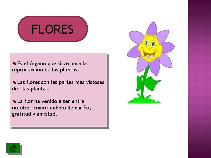 FLORES Es el órgano que sirve para la reproducción de las plantas. Las flores