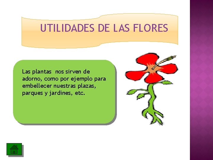 UTILIDADES DE LAS FLORES Las plantas nos sirven de adorno, como por ejemplo para