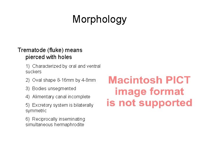 Morphology Trematode (fluke) means pierced with holes 1) Characterized by oral and ventral suckers