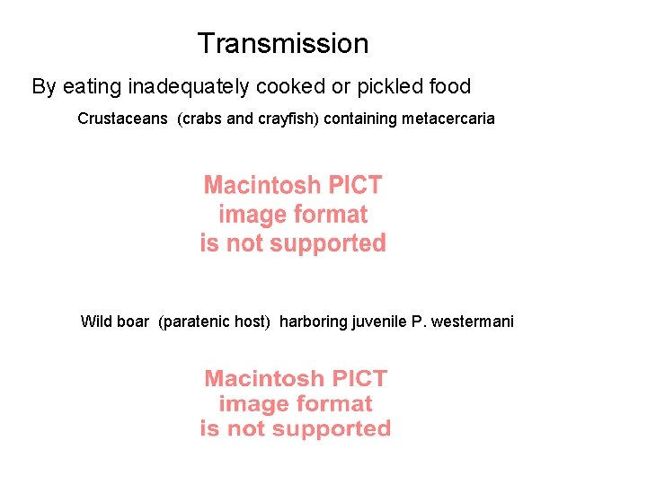 Transmission By eating inadequately cooked or pickled food Crustaceans (crabs and crayfish) containing metacercaria