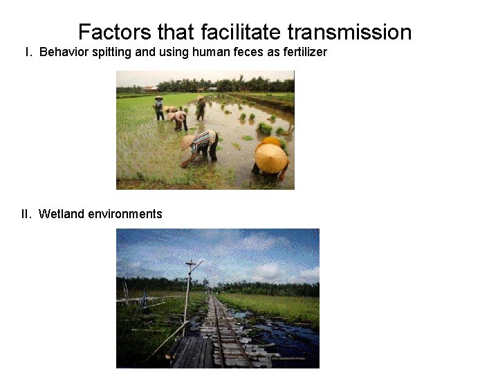 Factors that facilitate transmission I. Behavior spitting and using human feces as fertilizer II.