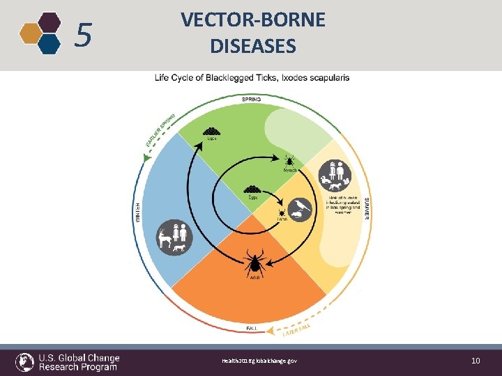 5 VECTOR-BORNE DISEASES Health 2016. globalchange. gov 10 