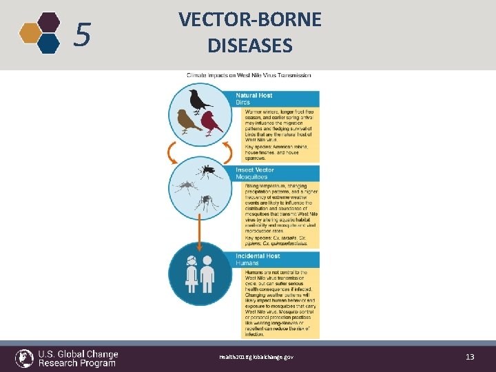 5 VECTOR-BORNE DISEASES Health 2016. globalchange. gov 13 