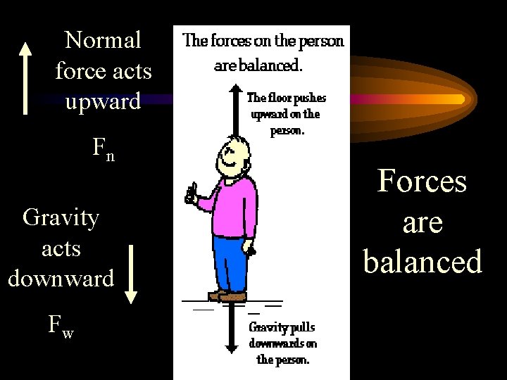 Normal force acts upward Fn Gravity acts downward Fw Forces are balanced 