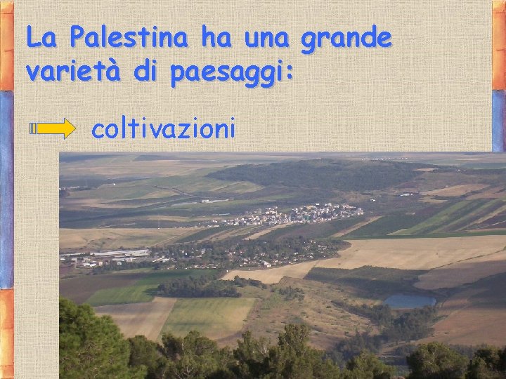 La Palestina ha una grande varietà di paesaggi: coltivazioni 