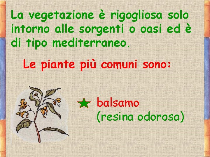 La vegetazione è rigogliosa solo intorno alle sorgenti o oasi ed è di tipo