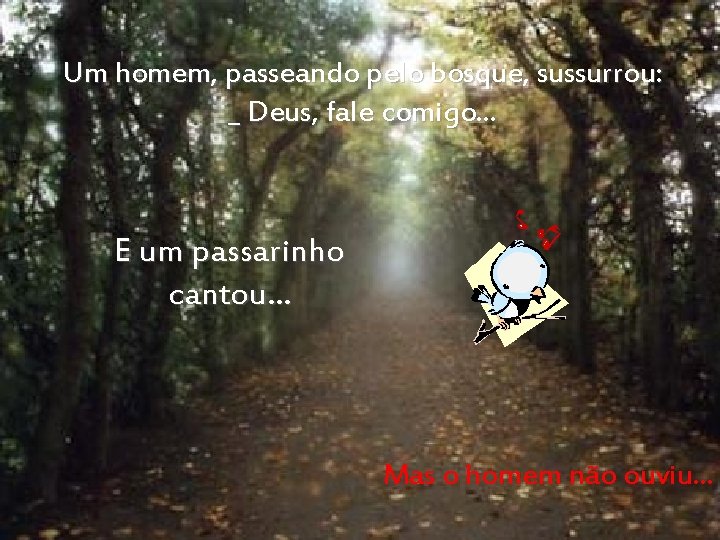 Um homem, passeando pelo bosque, sussurrou: _ Deus, fale comigo. . . E um