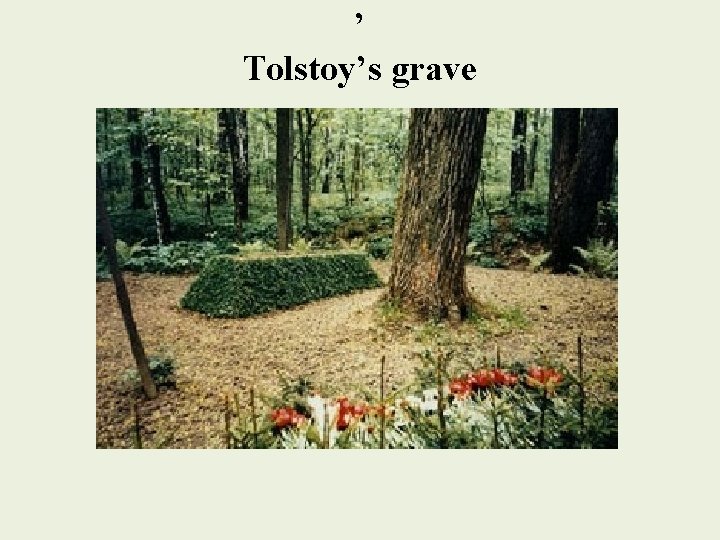 ’ Tolstoy’s grave 