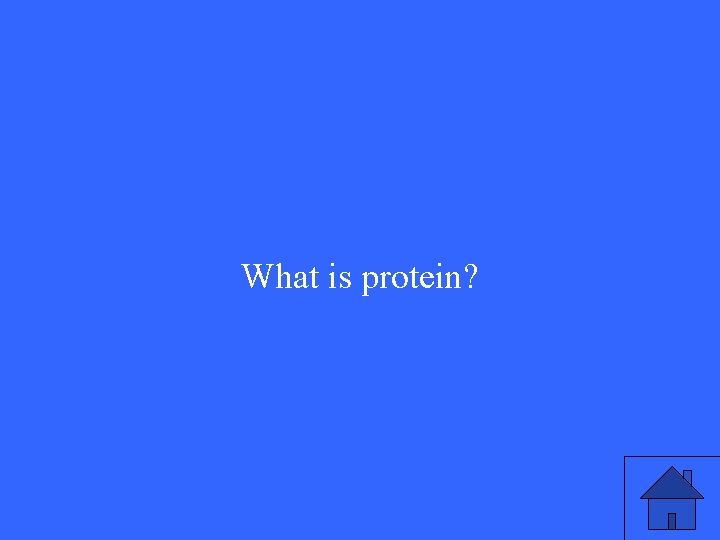 What is protein? 