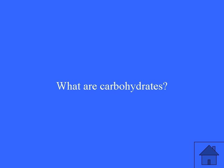 What are carbohydrates? 