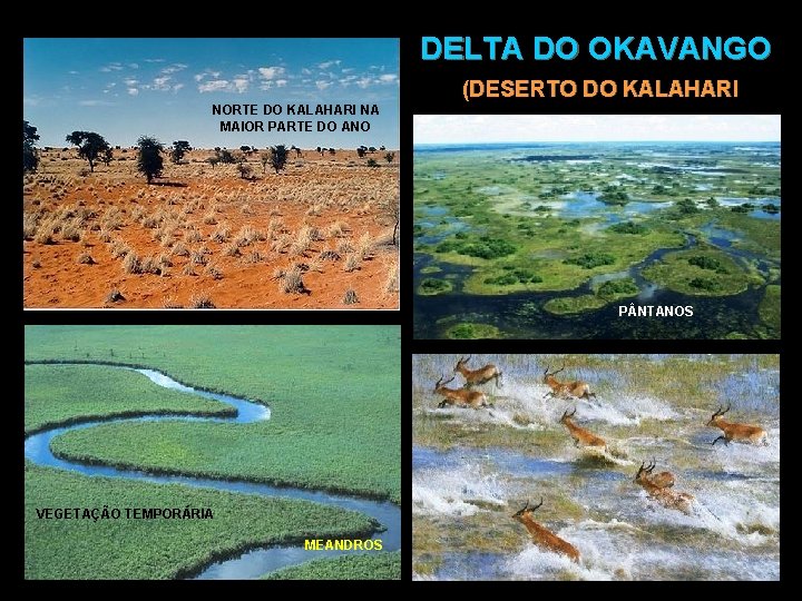 NORTE DO KALAHARI NA MAIOR PARTE DO ANO DELTA DO OKAVANGO (DESERTO DO KALAHARI