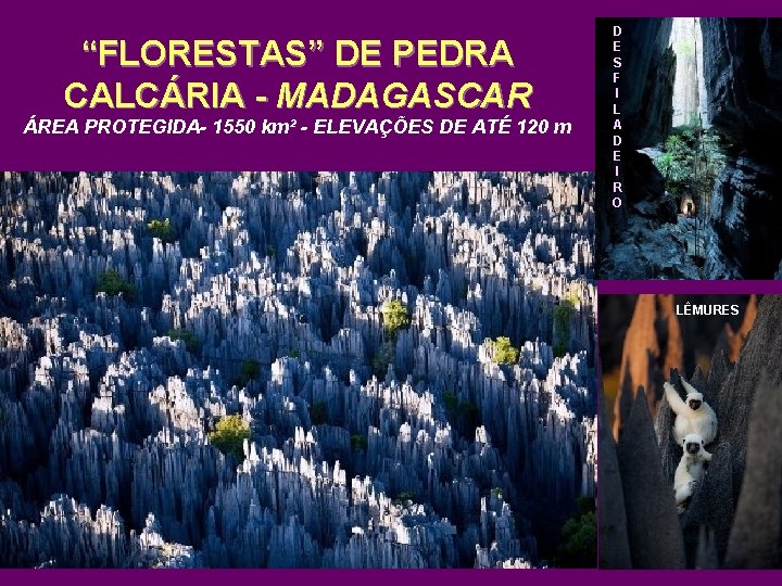 “FLORESTAS” DE PEDRA CALCÁRIA - MADAGASCAR ÁREA PROTEGIDA- 1550 km² - ELEVAÇÕES DE ATÉ