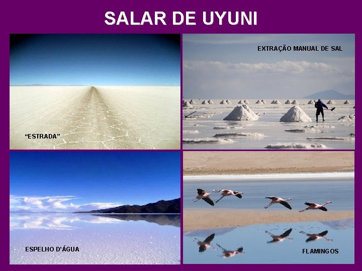 SALAR DE UYUNI EXTRAÇÃO MANUAL DE SAL “ESTRADA” ESPELHO D’ÁGUA FLAMINGOS 