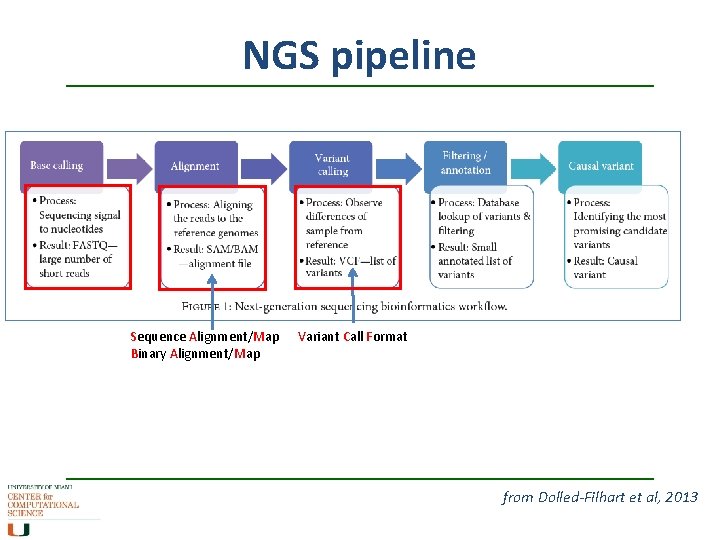 NGS pipeline Sequence Alignment/Map Binary Alignment/Map Variant Call Format from Dolled-Filhart et al, 2013