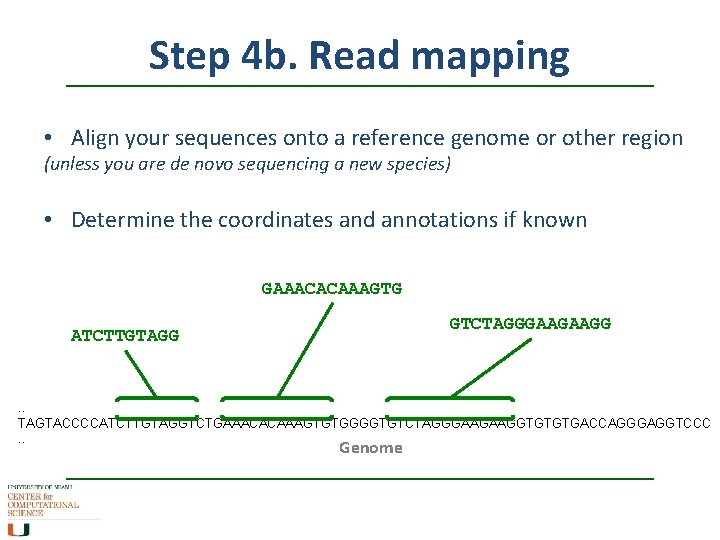 Step 4 b. Read mapping • Align your sequences onto a reference genome or