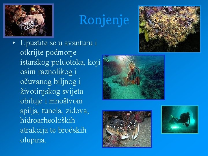 Ronjenje • Upustite se u avanturu i otkrijte podmorje istarskog poluotoka, koji osim raznolikog