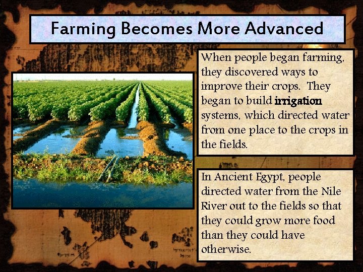 Chapter 1 The Beginnings of Human Society Section