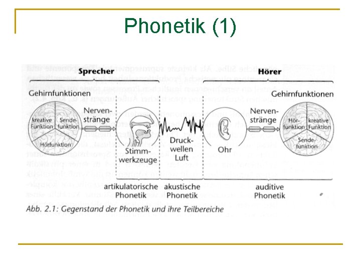 Phonetik (1) 