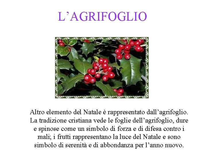 L’AGRIFOGLIO Altro elemento del Natale è rappresentato dall’agrifoglio. La tradizione cristiana vede le foglie L’AGRIFOGLIO Altro elemento del Natale è rappresentato dall’agrifoglio. La tradizione cristiana vede le foglie