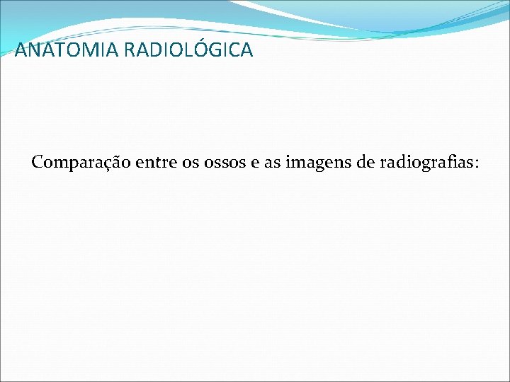 ANATOMIA RADIOLÓGICA Comparação entre os ossos e as imagens de radiografias: ANATOMIA RADIOLÓGICA Comparação entre os ossos e as imagens de radiografias: