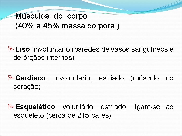 Músculos do corpo (40% a 45% massa corporal) Liso: involuntário (paredes de vasos sangüíneos Músculos do corpo (40% a 45% massa corporal) Liso: involuntário (paredes de vasos sangüíneos