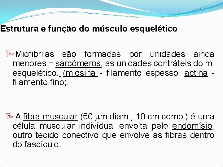 Estrutura e função do músculo esquelético Miofibrilas são formadas por unidades ainda menores = Estrutura e função do músculo esquelético Miofibrilas são formadas por unidades ainda menores =