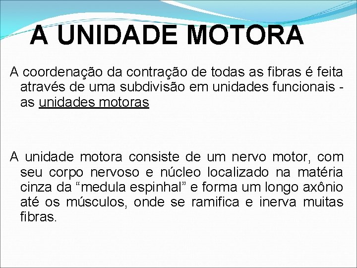 A UNIDADE MOTORA A coordenação da contração de todas as fibras é feita através A UNIDADE MOTORA A coordenação da contração de todas as fibras é feita através