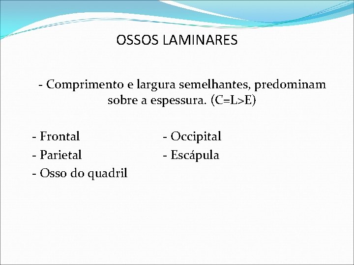 OSSOS LAMINARES - Comprimento e largura semelhantes, predominam sobre a espessura. (C=L>E) - Frontal OSSOS LAMINARES - Comprimento e largura semelhantes, predominam sobre a espessura. (C=L>E) - Frontal
