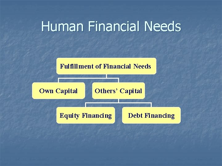 Human Financial Needs Fulfillment of Financial Needs Own Capital Others’ Capital Equity Financing Debt