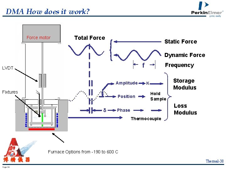 DMA How does it work? Force motor Total Force Static Force Dynamic Force Frequency