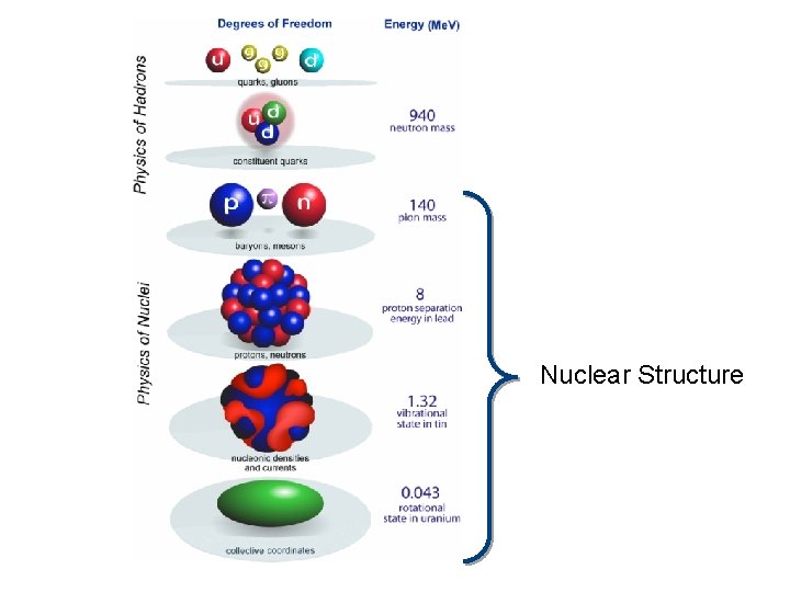 Nuclear Structure 