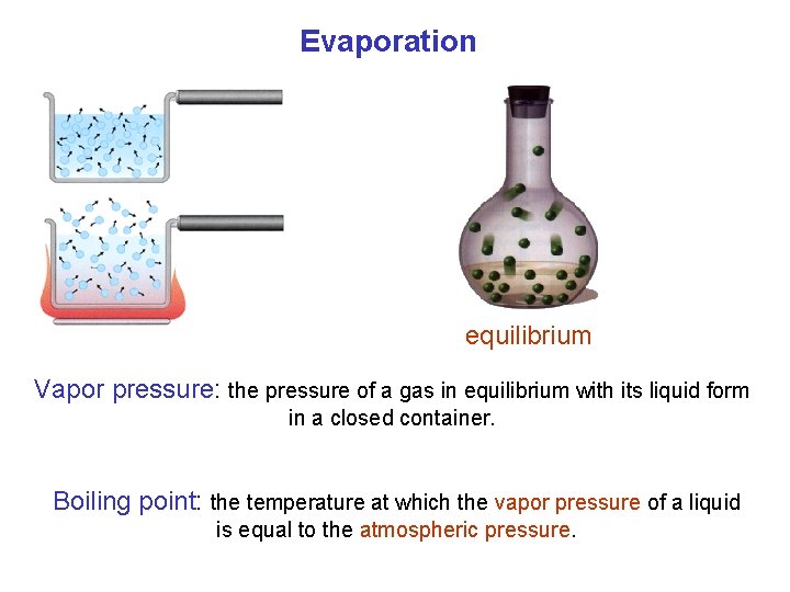Evaporation equilibrium Vapor pressure: the pressure of a gas in equilibrium with its liquid