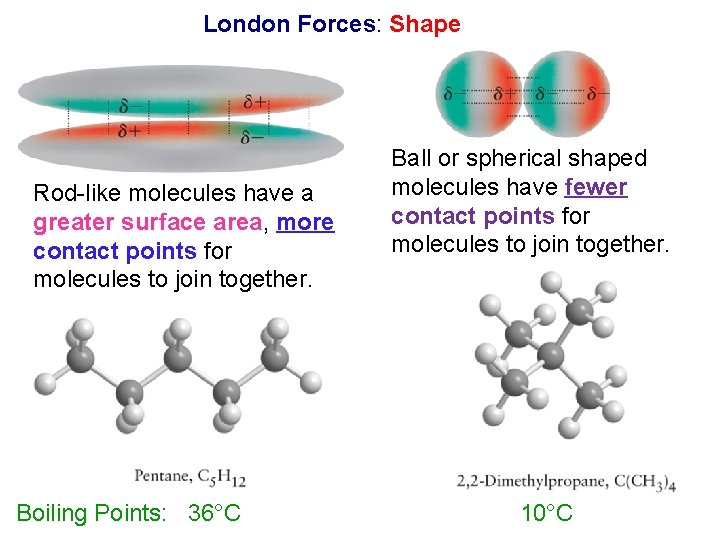 London Forces: Shape Rod-like molecules have a greater surface area, more contact points for