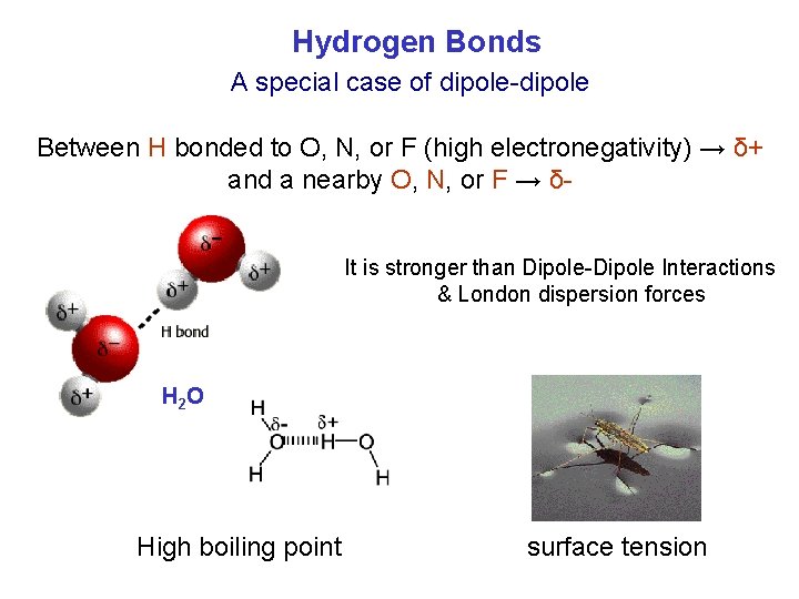 Hydrogen Bonds A special case of dipole-dipole Between H bonded to O, N, or