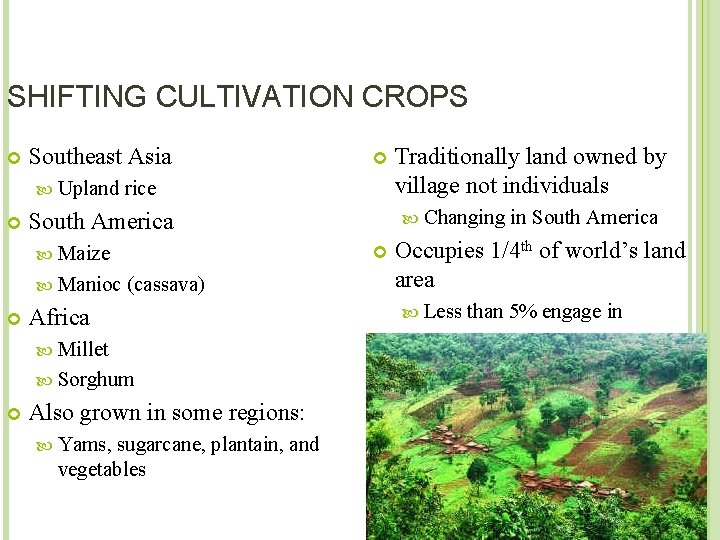 SHIFTING CULTIVATION CROPS Southeast Asia Upland rice Manioc (cassava) Africa Millet Sorghum Also grown
