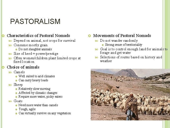 PASTORALISM Characteristics of Pastoral Nomads Depend on animal, not crops for survival Consume mostly