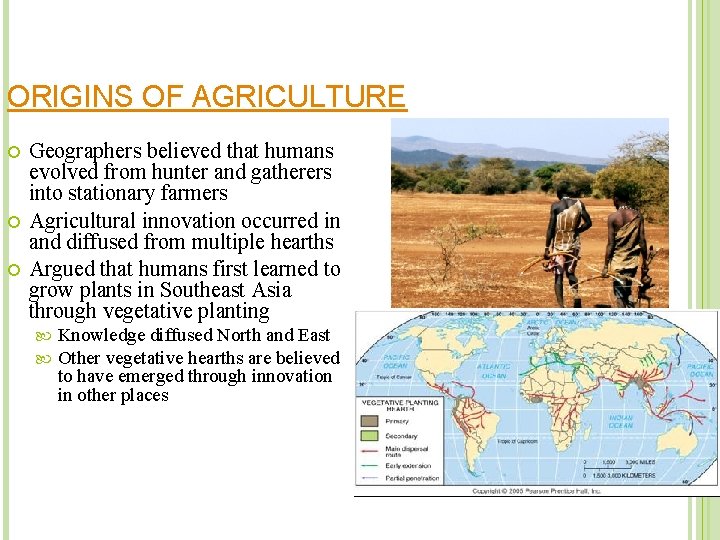 ORIGINS OF AGRICULTURE Geographers believed that humans evolved from hunter and gatherers into stationary